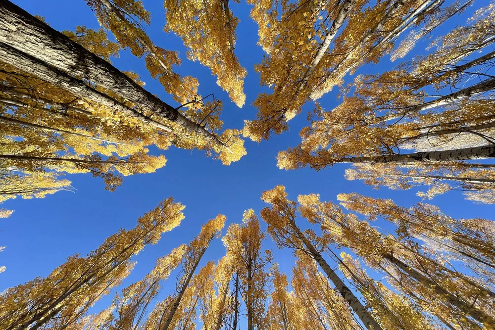 A Look at Life in Turkey