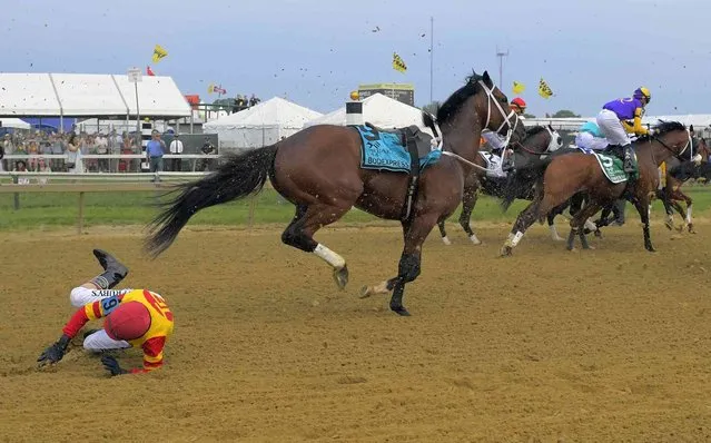 Jockey John Velazquez tumbles to the track after falling off Bodexpress (9) as the field breaks from the starting gate in the 144th Preakness Stakes horse race at Pimlico race course, Saturday, May 18, 2019, in Baltimore. (Photo by John McDonnell/The Washington Post via AP Photo)