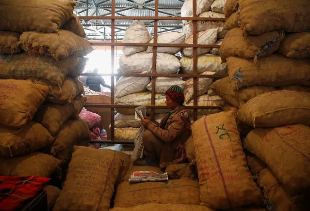 A porter sits in between the sacks of potatoes as he reads a newspaper at the vegetable market in Kathmandu, Nepal February 16, 2017. (Photo by Navesh Chitrakar/Reuters)