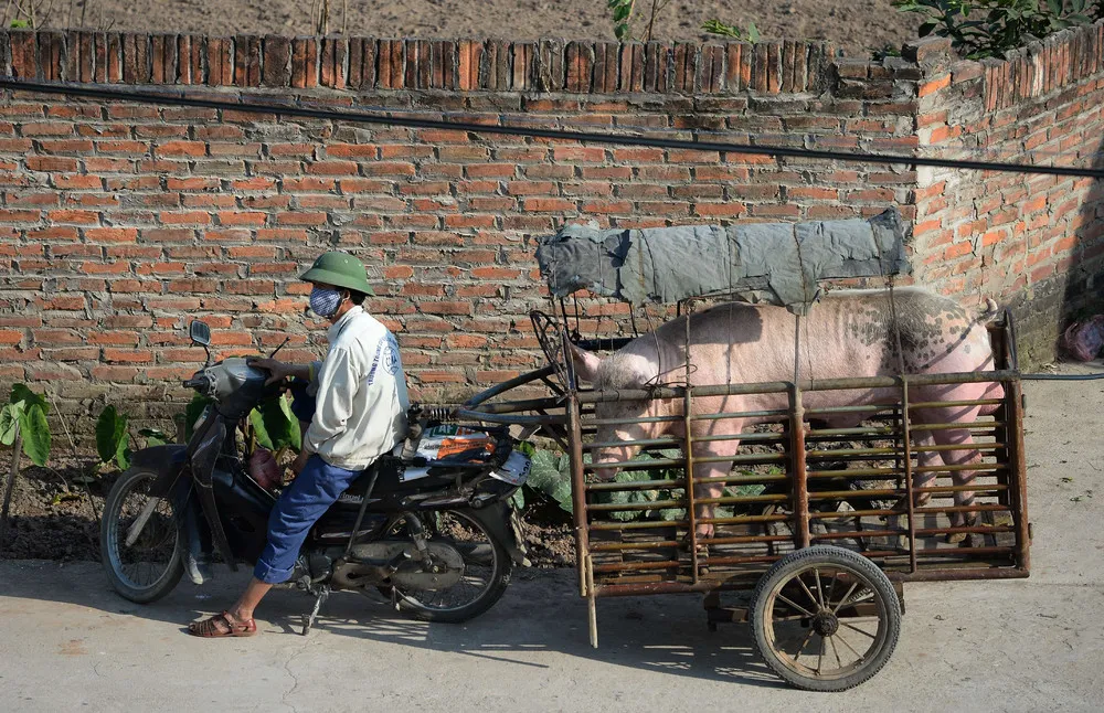 A Look at Life in Vietnam