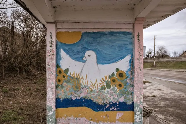 A mural of a White pigeon is seen as Ukrainian army secured the area following the withdrawal of the Russian army from the Kyiv region on previous days in Demydiv, Ukraine on April 6, 2022. (Photo by Andre Luis Alves/Anadolu Agency via Getty Images)