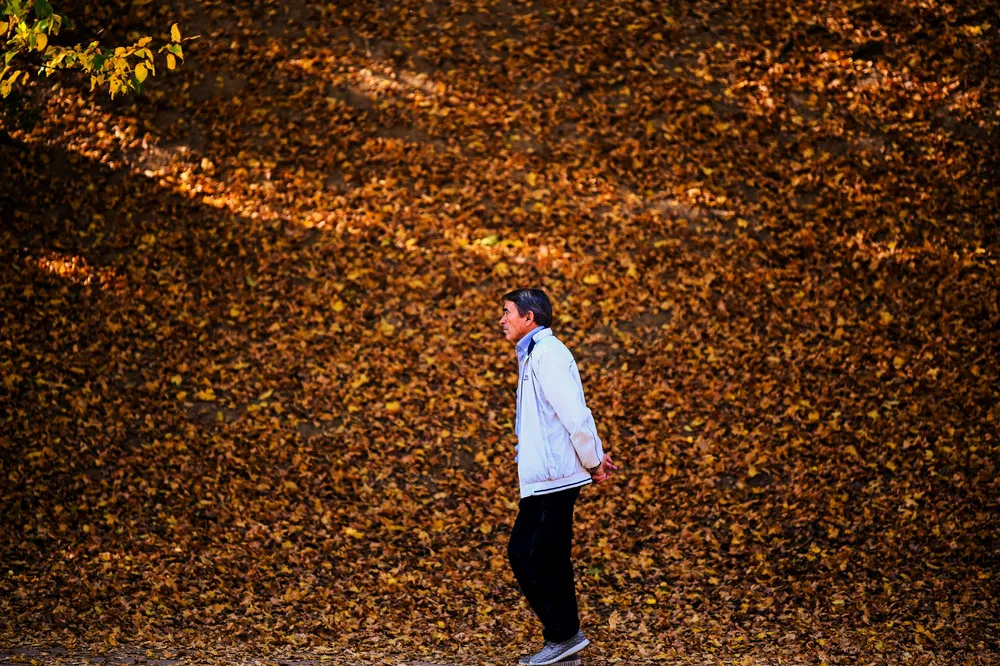 People in the Landscape