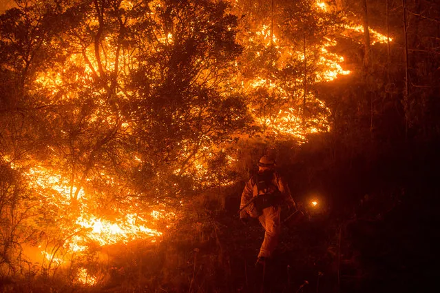 A firefighter lights a backfire while battling the Rocky fire near Clearlake, California, August 2, 2015. The fire, one of dozens raging in drought parched Northern California, has destroyed 24 residences and scorched 27,000 acres according to Cal Fire. California state governor Jerry Brown declared a state of emergency, saying severe drought and extreme weather have turned much of the state into a tinderbox. (Photo by Noah Berger/EPA)