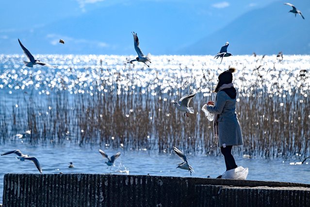 A woman feeds gulls on the shore of Ohrid Lake in Struga, North Macedonia, February 9, 2022. (Photo by Xinhua News Agency/Rex Features/Shutterstock)