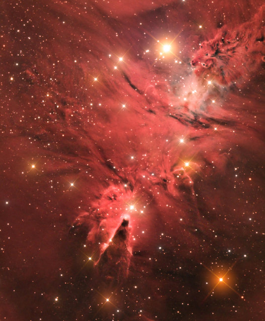 “Sir Patrick Moore Prize for Best Newcomer”. Winner: The Cone Nebula (NGC 2264) by Jason Green (Gibraltar) A vivid deep-red image of the Cone Nebula, lying about 2,700 light years away in the constellation of Monoceros. The image consists of 20 x 10-minute exposures per filter and is an integration of LRGB (luminance, red, green and blue) and H-Alpha (hydrogen-alpha) filters. Frenegal de la Sierra, Badajoz, Spain, 10 January 2017 William Optics 132 mm f/5.6 apochromatic refractor telescope, Celestron CGE Pro mount, QSI 660WSG8 Mono CCD camera, 16 2/3-hour total exposure. (Photo by Jason Green/Insight Astronomy Photographer of the Year 2017)