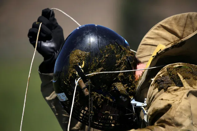 Smokejumper recruit Ross Lindell untangles his parachute after landing in cow manure during his first training jump from an airplane into a field adjacent to the North Cascades Smokejumper Base in Winthrop, Washington, U.S., June 7, 2016. (Photo by David Ryder/Reuters)