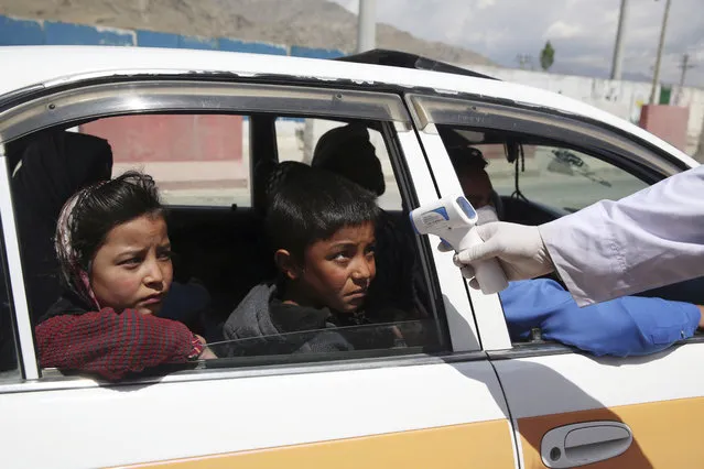 A health worker checks the temperature of passengers in an effort to help prevent the spread of the coronavirus, as they enter the city in the Paghman district of Kabul, Afghanistan, Sunday, May 3, 2020. (Photo by Rahmat Gul/AP Photo)