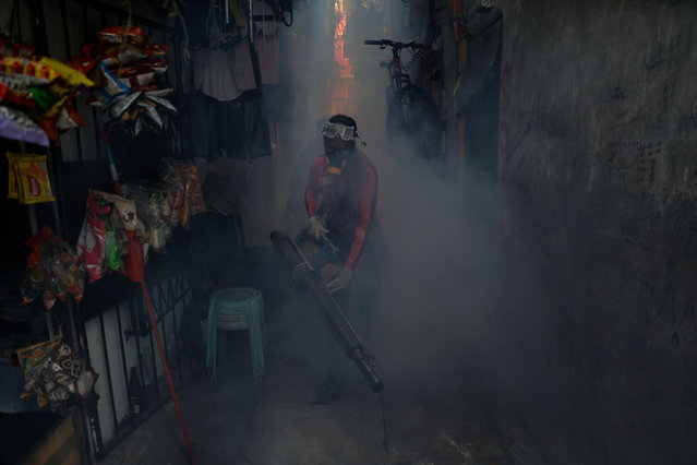A member of the Addition Hills Life Emergency Response Team (AHLERT) conducts fogging in community alleyways with underground drainage and potential mosquito breeding areas as part of Dengue prevention in Mandaluyong City, Metro Manila, Philippines, 19 February 2025. The Philippines' Department of Health (DOH) has reported a rise in dengue cases across three regions, including Metro Manila. Local government units urge residents to maintain cleanliness, practice proper hygiene, and seek medical attention if dengue symptoms appear. (Photo by Rolex dela Peña/EPA/EFE)
