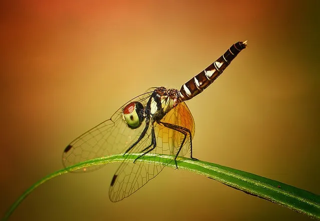 Photo by Shikhei Goh