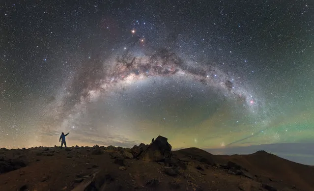 Honourable mention, Astronomy category. Within Reach by Petr Horalek. The skies above ESO’s Paranal Observatory resemble oil on water as greens, yellows and blues blend to create an iridescent skyscape. The rocky, barren landscape below evokes an alien world, complementing the cosmic display above. (Photo by Petr Horalek/PA Wire/Royal Society Publishing Photography Competition 2017)