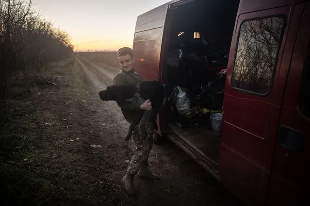 A member of the Ukrainian 63rd Separate Mechanised Brigade packs one of the brigades dogs “Gypsy” into a van while packing equipment and dismantling a frontline position that the brigade had occupied for more than five months at the border of Mykolaiv and Kehrson Oblasts as they move to a new forward position in Kherson Oblast on November 15, 2022 in Mykolaiv, Ukraine. Russian forces retreated from Kherson City and region moving forces across to the west bank of the Dnipro river. Since the retreat Ukrainian forces have kept up pressure, moving equipment and soldiers forward creating a new frontline. (Photo by Chris McGrath/Getty Images)