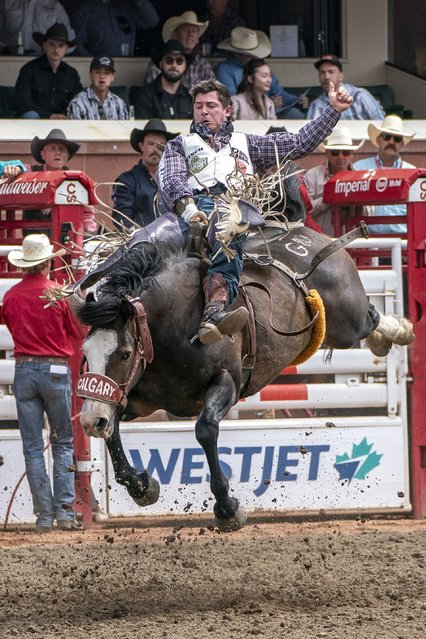 A rider competes in the rodeo during the Calgary Stampede on Saturday, July 5, 2025, in Calgary, Alberta. (Photo by Amy Harris/Invision/AP Photo)