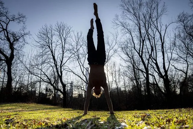 Marco Amantini does a handstand in the grass near the Great Lawn at the center of Central Park, Monday, January 30, 2023, in the Manhattan borough of New York. Since the start of winter in December, there hasn't been any measurable snowfall in the city. The last time it took this long before snow lingered on the ground in the wintertime was 1973, when New Yorkers had to wait until Jan. 29. (Photo by John Minchillo/AP Photo)