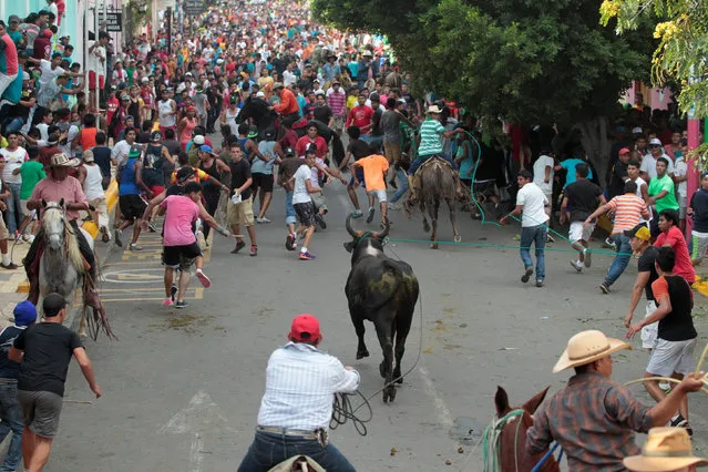 People run from a bull which was set loose on the street of the city as part of the festivities in honour of the patron saint of Masaya, San Jeronimo, in Masaya, Nicaragua, September 29,2016. (Photo by Oswaldo Rivas/Reuters)