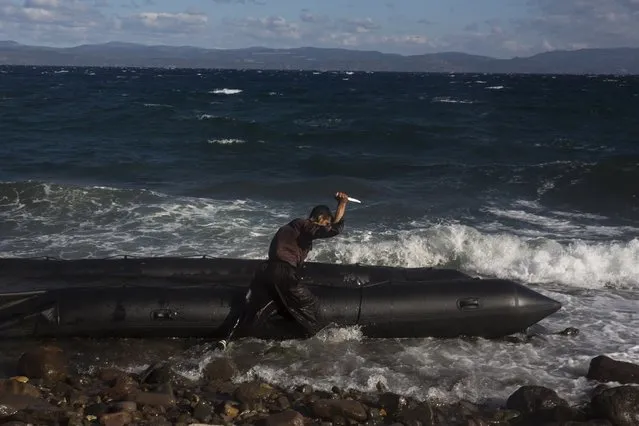 Afghan migrant uses a knife to puncture the dinghy in which he crossed with others from Turkey to the Greek island of Lesbos, Wednesday, October 28, 2015. Greece’s government says it is preparing a rent-assistance program to cope with a growing number of refugees, who face the oncoming winter and mounting resistance in Europe. (Photo by Santi Palacios/AP Photo)