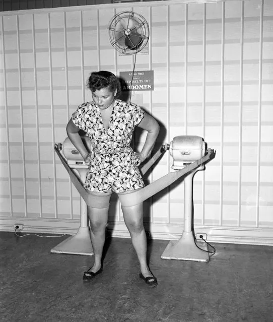 A woman demonstrates the vibratory exercise belt, which can be raised or lowered by using a T-handle, at the Mac Levy salon on November 30, 1946. (Photo by AP Photo)