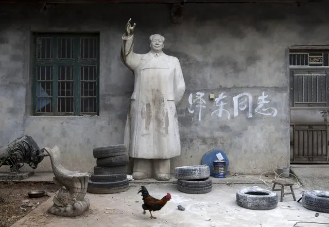 A limestone statue of China's late Chairman Mao Zedong is seen in a yard, in Shaoshan, Hunan province, December 6, 2014. The text on the wall reads “Comrade Zedong”. (Photo by Darwin Zhou/Reuters)