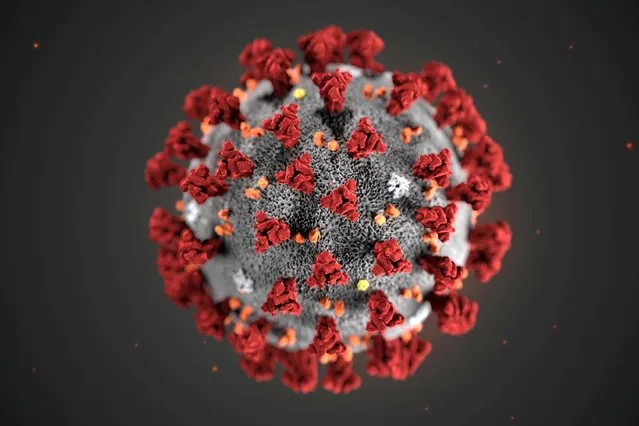 The ultrastructural morphology exhibited by the 2019 Novel Coronavirus (2019-nCoV), which was identified as the cause of an outbreak of respiratory illness first detected in Wuhan, China on January 30, 2020. (Photo by Alissa Eckert, MS/Dan Higgins, MAM/CDC via Reuters)