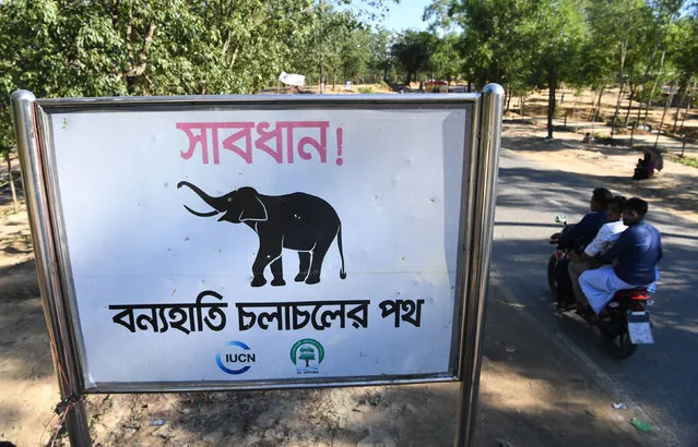 Motorists ride past a sign that reads “Warning – Route for Wild Elephants” near Bangladesh' s Balukhali camp for Rohingya refugees on October 14, 2017. Wild elephants killed four Rohingya refugees including three children on October 14 as they were building a shack in Bangladesh' s southeast, police said. The incident occurred at Balukhali camp in Cox' s Bazar district, where hundreds of thousands of Rohingya have set up makeshift shelters since fleeing violence across the border in Myanmar. (Photo by Indranil Mukherjee/AFP Photo)
