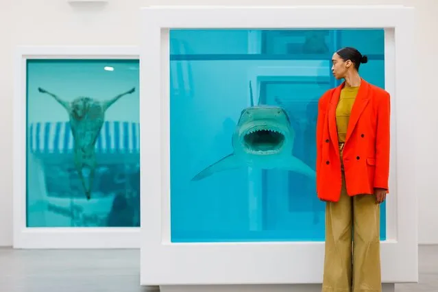 Death Denied, 2008, goes on view as part of the Damien Hirst “Natural History” Exhibition at Gagosian Gallery on March 09, 2022 in London, England. (Photo by Tristan Fewings/Getty Images)