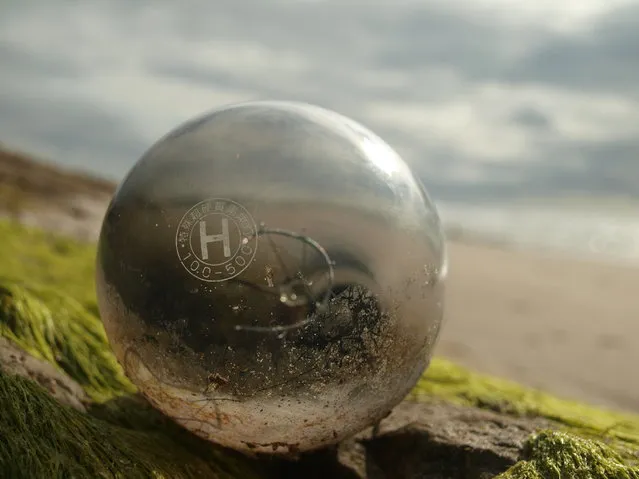 “Ocean Journey”. Found this unbroken lightbulb on the Oregon beach after high tide on April 29, 2012 . The letter's appear to be Japanese. Is it possible it's been in the ocean on it's way from Japan since the Tsunami of March 11, 2011? If so, what a journey it must have had. Location: Newport, Oregon. (Photo and caption by Anne Marcom/National Geographic Traveler Photo Contest)