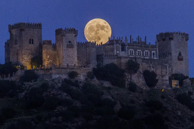 The moon rises behind the castle of Almodovar in Cordoba, southern Spain, on Sunday, November 13, 2016. The Supermoon on November 14, 2016, will be the closest a full moon has been to Earth since January 26, 1948. (Photo by Miguel Morenatti/AP Photo)