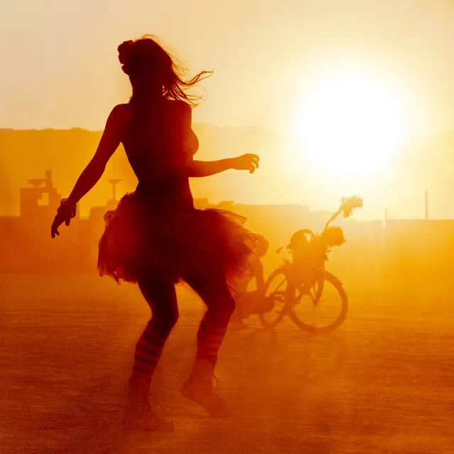 “Dancing in the dust at sunset”. (Photo and caption by Ian Brewer)