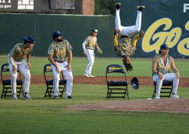 First Base Coach/Dance instructor Maceo Harrison of the Savannah Bananas and Vincent DeRubeis #41 perform a dance routine between innings against the game between the Savannah Bananas against the Party Animals at Grayson Stadium on May 13, 2023 in Savannah, Georgia. The Historic Grayson Stadium is the home of the independent professional baseball team called the Savannah Bananas. The Bananas were part of the Coastal Plain League, a summer collegiate league, for seven seasons. In 2022, the Bananas announced that they were leaving the Coastal Plain League to play Banana Ball year-round. Banana Ball was born out of the idea of making baseball more fast-paced, entertaining, and fun. (Photo by Al Bello/Getty Images)
