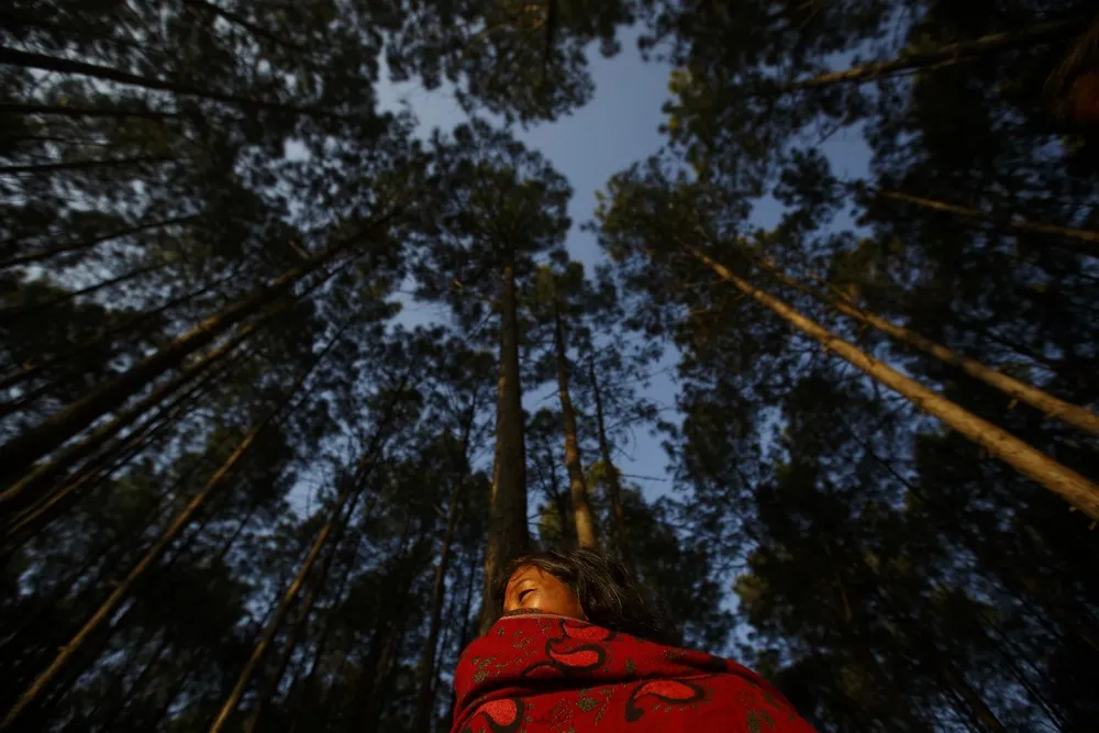 The Week in Pictures: January 31 – February 6, 2015. Part 2/7