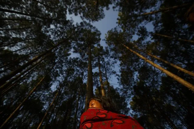 A devotee waits to perform religious rituals during the Swasthani Bratakatha festival in the woods of Changu Narayan in Bhaktapur, January 31, 2015. During the month long festival, devotees recite one chapter of a Hindu tale daily from the 31-chapter sacred Swasthani Brata Katha book that is dedicated to God Madhavnarayan and Goddess Swasthani, alongside various other gods and goddesses and the miraculous feats performed by them. (Photo by Navesh Chitrakar/Reuters)