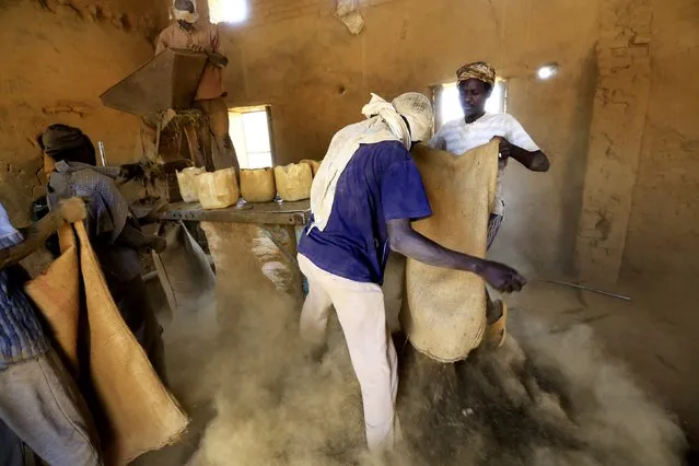 Workers pour sacks of tobacco for grinding inside a snuff tobacco factory in el-Fasher, in North Darfur  February 5, 2015. (Photo by Mohamed Nureldin Abdallah/Reuters)