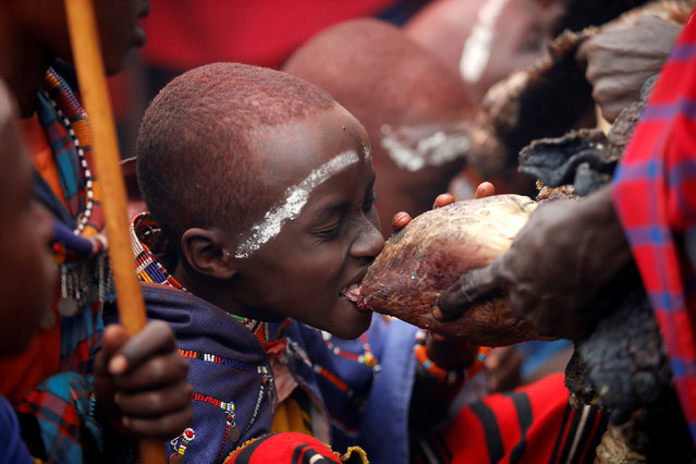 A Maasai boy bites a bull's heart during an initiation into an age group ceremony near the town of Bisil, Kajiado county, Kenya, August 23, 2018. (Photo by Baz Ratner/Reuters)