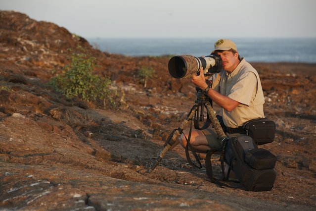 Tim Laman - Wildlife Photojournalist