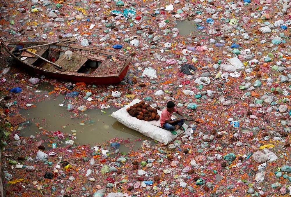 Reuters Pictures of the Year 2016, Part 6/8