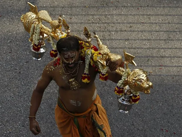 A devotee carries a kavadi during Thaipusam festival in Singapore January 24, 2016. (Photo by Edgar Su/Reuters)
