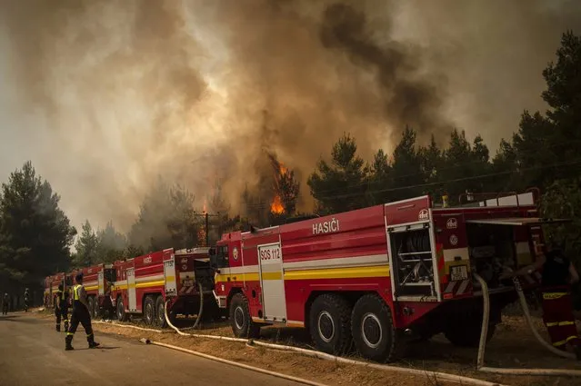 Firefighters from Slovakia try to extinguish the burning blaze of a forest fire near in the village of Avgaria on Evia (Euboea) island, on August 10, 2021. Nearly 900 firefighters, reinforced overnight with fresh arrivals from abroad, were deployed on the country's second largest island as major towns and resorts remained under threat from a fire that has been burning for eight days. (Photo by Angelos Tzortzinis/AFP Photo)