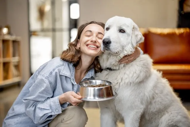 Woman feeding dog with a dry food at home. (Photo by Ross Helen/Rex Features/Shutterstock)