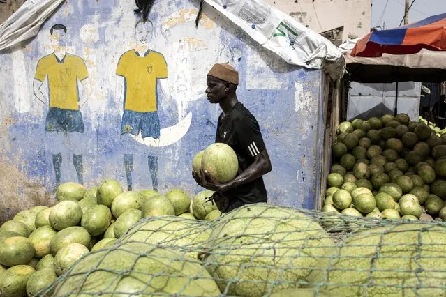 A vendor carries two watermelons as the new watermelon season starts in Dakar on September 15, 2023. (Photo by John Wessels/AFP Photo)