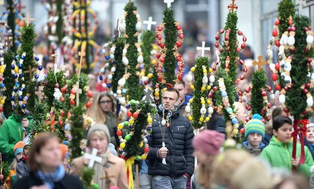 Hundreds of believers carry their homemade palm through downtown to St. John's Church during the Palm Sunday Procession in Bad Saulgau, Baden-Wuerttemberg, Germany, 20 March 2016. (Photo by Felix Kaesle/EPA)