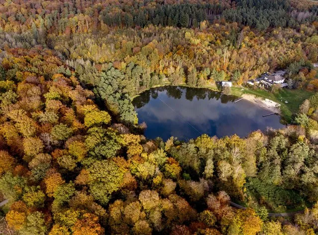 Colorful trees surround the small Hattstein lake in Usingen in the Taunus region near Frankfurt, Wednesday, October 27, 2021. (Photo by Michael Probst/AP Photo)