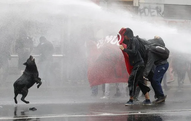 Protesters are hit by a jet of water released from a riot police vehicle during a protest against the government to demand changes and end to the profiteering in the education system, in Valparaiso, May 14, 2015. (Photo by Rodrigo Garrido/Reuters)