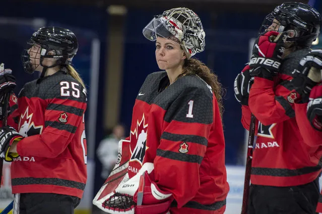 In this November 10, 2018, file photo, Canada goaltender Shannon Szabados watches as U.S. players celebrate during the Four Nations Cup hockey gold-medal game in Saskatoon, Saskatchewan. A person with direct knowledge of the decision tells The Associated Press that the owner of the Buffalo Beauts has given up control of the National Women's Hockey League franchise. The person spoke to The AP on Wednesday, May 8, 2019, on the condition of anonymity because the decision won't be announced until later in the day. This further jeopardizes the league's future as it struggles to keep its five franchises afloat, and without the support of the world's top players. On Thursday, the NWHL learned it will have difficulty restocking its rosters after more than 200 of the world's top female players pledged they'll not compete professionally in North America next season. The group included a vast majority of Beauts players, including U.S. national team defenseman Emily Pfalzer and Canadian national team goalie Shannon Szabados. (Photo by Liam Richards/The Canadian Press via AP Photo/File)