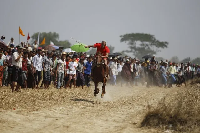 A man on a horse takes part in a race during a horse and ox-cart racing festival outside Yangon April 26, 2015. (Photo by Soe Zeya Tun/Reuters)