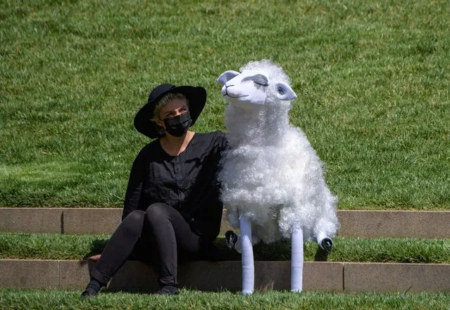 A Basil Twist's puppeteer sits with a sheep puppet prior to a New York Philharmonic performance at Hearst Plaza at Lincoln Center as part of Lincoln Center as part of Lincoln Center's Restart Stages on April 7, 2021 in New York City. The musicians performed for an audience of 150 healthcare workers on World Health Day, after being shut down due to the pandemic last March. (Photo by Angela Weiss/AFP Photo)