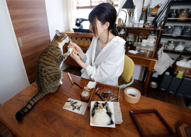 Japanese artist Sachi takes a break with her pet cat during her creation work of a realistic 3D cat portrait by using felted wool at her house in Sagamihara, south of Tokyo, Japan on January 21, 2022. (Photo by Akira Tomoshige/Reuters)