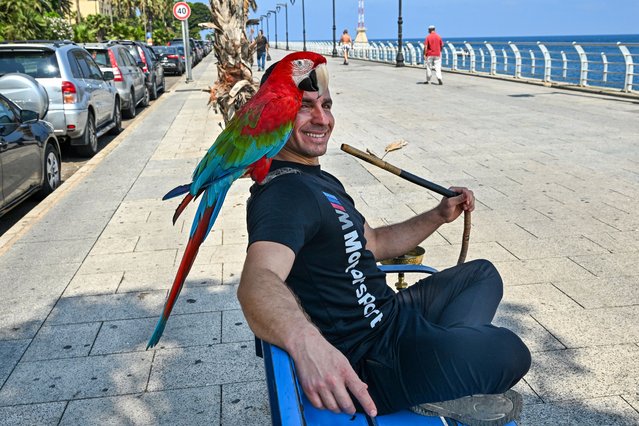 A man smokes a water pipe sitting on a bench with his pet parrot at the Ain al Mreisseh seaside promenade in Beirut on June 28, 2024. (Photo by Joseph Eid/AFP Photo)