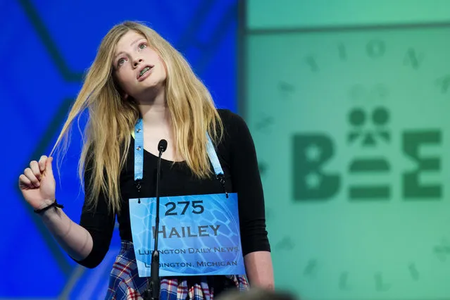 Hailey Hogenson, 14, of Scottville, Mich., spells her word during the preliminary round two of the Scripps National Spelling Bee in National Harbor, Md., Wednesday, May 25, 2016. (Photo by Cliff Owen/AP Photo)
