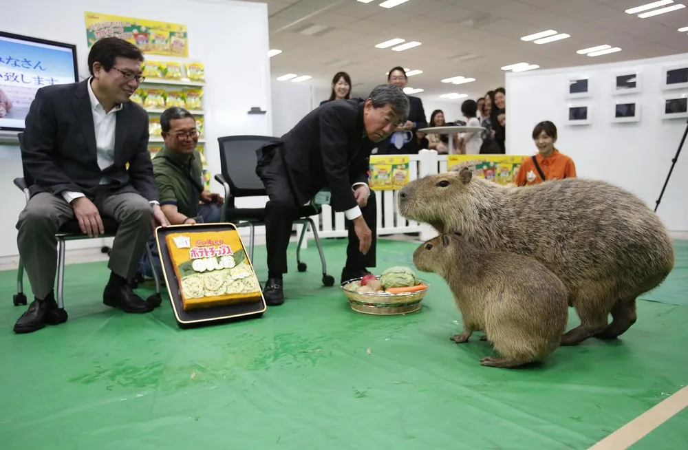 The Day in Photos – June 1, 2016