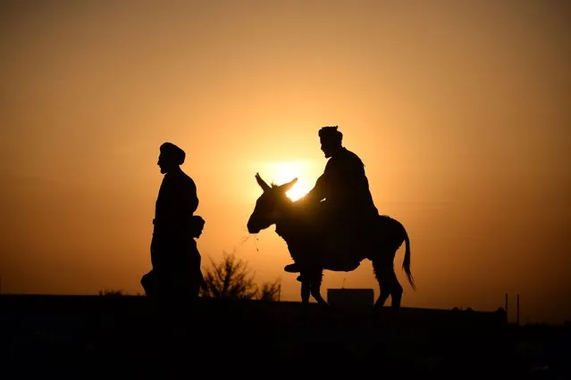 An Afghan resident rides on his donkey as the sun sets on the outskirts of Mazar-i-sharif on May 26, 2014. (Photo by Farshad Usyan/AFP Photo)