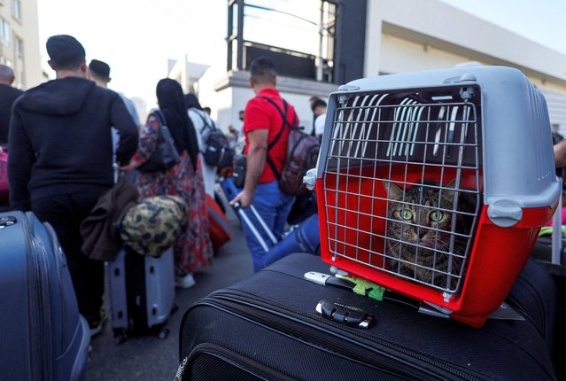 A cat sits in a cage as Turkish nationals wait to register for boarding Turkish navy ships to leave Lebanon, amid the ongoing hostilities between Hezbollah and Israeli forces, in Beirut, Lebanon, on October 9, 2024. (Photo by Amr Abdallah Dalsh/Reuters)